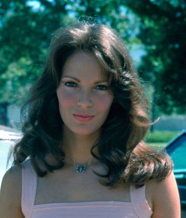 jaclyn smith hairstyles on Jaclyn Smith Unique Hairstyle