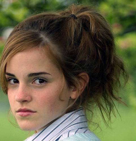 Emma Watson Hairstyle on British Actress And Model Emma Watson With Long Updo Hairstyle