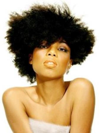 Fine Afro Hairstyle