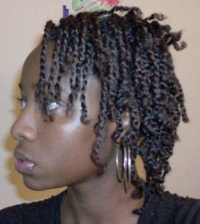 Afro Black Braids Hairstyle