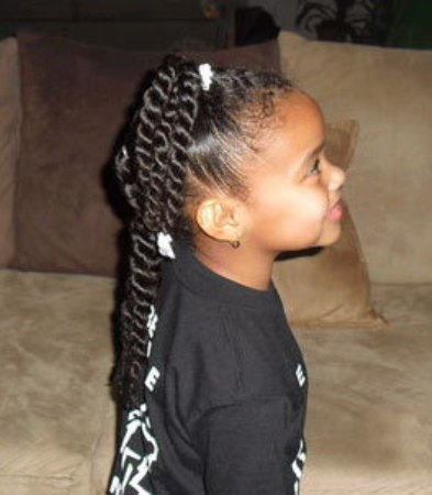 Braids Hairstyle