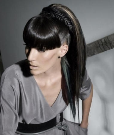 Winsome Black Ponytail Hairstyle