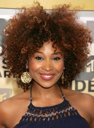 Afro Hairstyle For Women