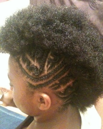 Afro Braided Mohawk Hairstyle