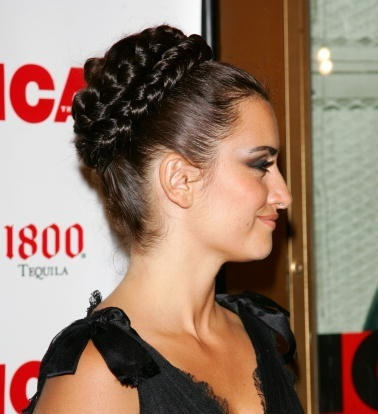 Braids Updo Hairstyle