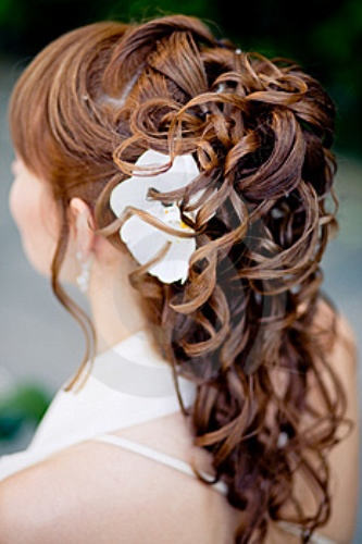 Agreeable Bridal Hairstyle