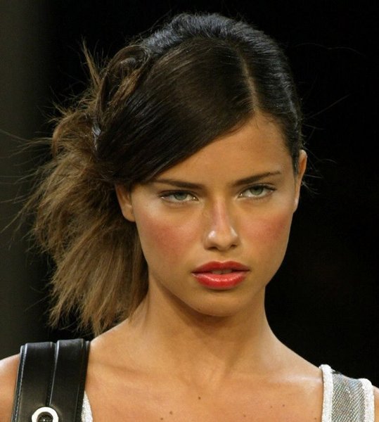 Adriana Lima Updo Hairstyle