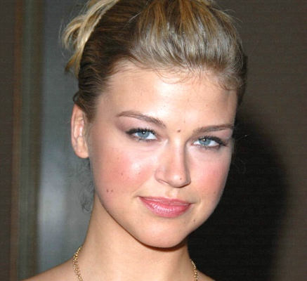 Adrianne Palicki Hairstyle