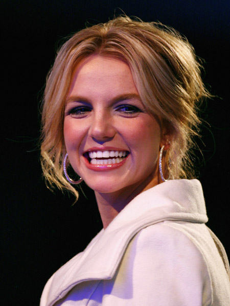 Britney Spears Updo Hairstyle