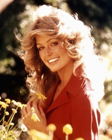 Farrah Fawcett Hairstyle