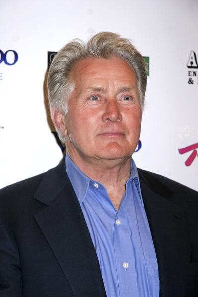 Martin Sheen Nice Hairstyle