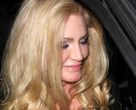Shannon Tweed Formal Hairstyle