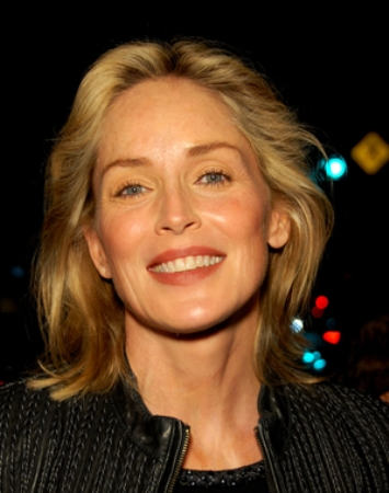 Sharon Stone Hairstyle