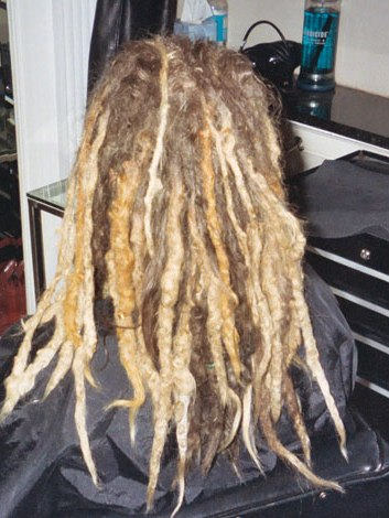 Stupendous Dreadlock Hairstyle