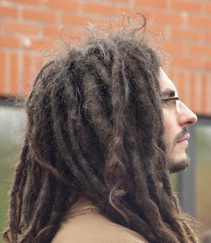 Long Dreadlock Hairstyle