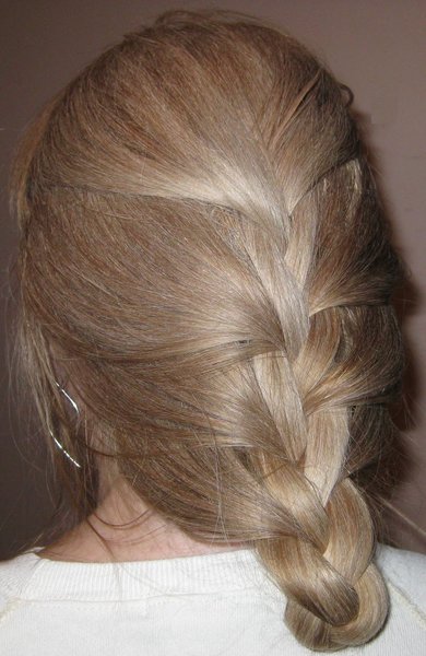 French  Braid Tail Hairstyle