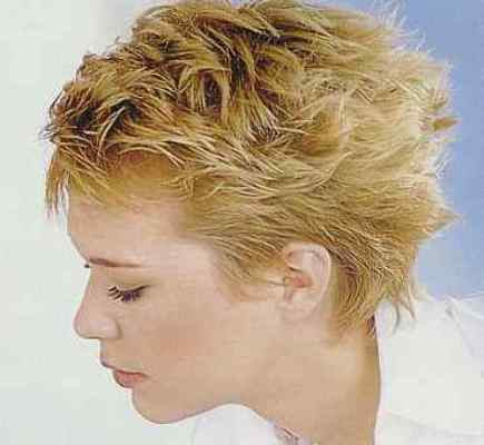 Excellent Short Funky Hairstyle