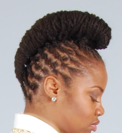 Amazing Locs Hairstyle