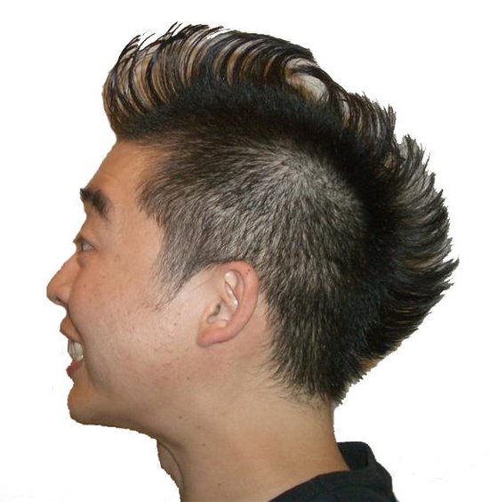 Fine Mohawk Hairstyle