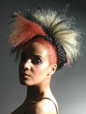 Stylish Punk Hairstyle