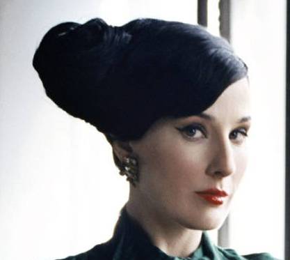 Dita Von Teese Bun Hairstyle  