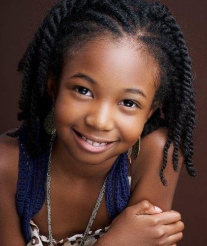 Afro Braids Hairstyle
