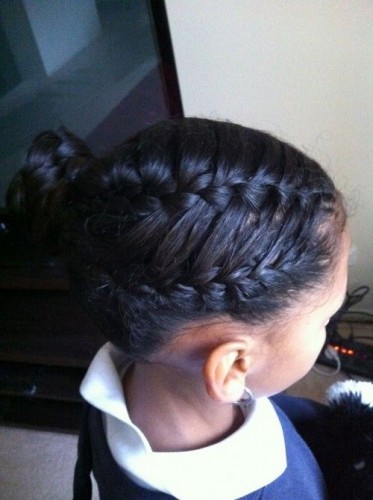 Black Braids Hairstyle