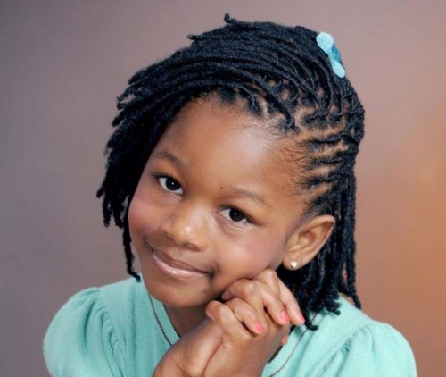 Black Braids Hairstyle