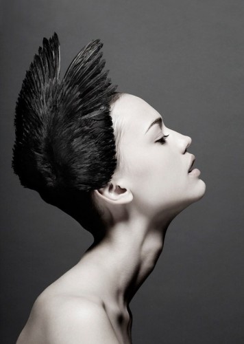 Black Featherd Hairstyle