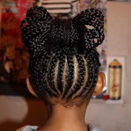 Braids Updo Hairstyle