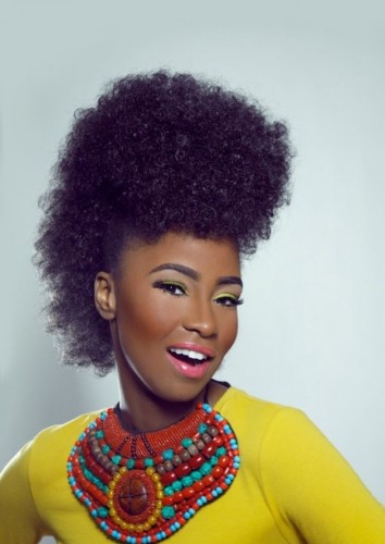 Cool Afro Hairstyle