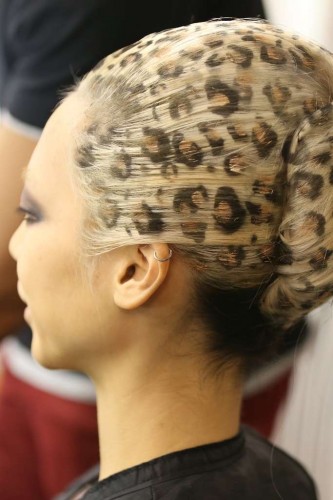 Leopard Shade Hairstyle