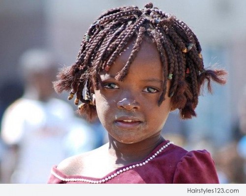 Lovely Braids Hairstyle