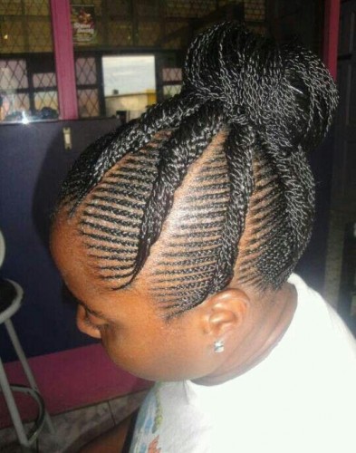 Micro Braids Hairstyle