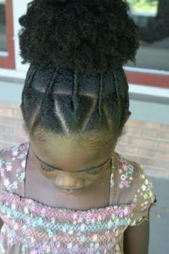 Updo Afro Hairstyle