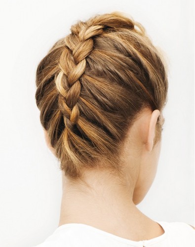 Braid Up Hairstyle