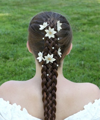 Party Braids Hairstyle