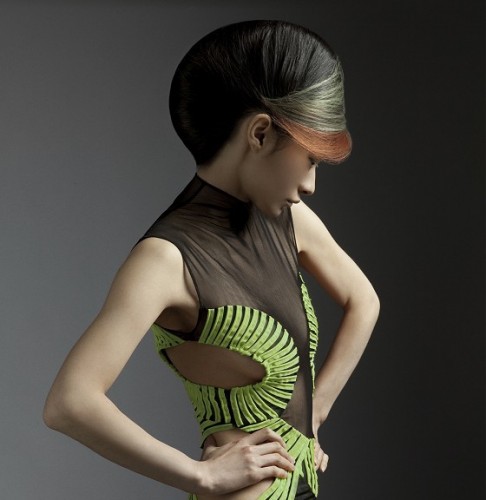Updo Side Sept Hairstyle