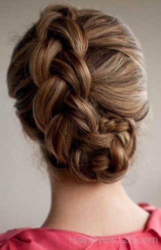 Braid Updo Hairstyle