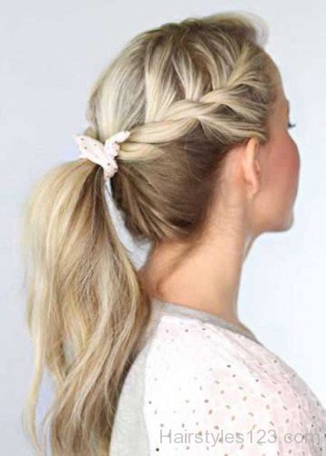 Braid With Ponytail Hairstyle