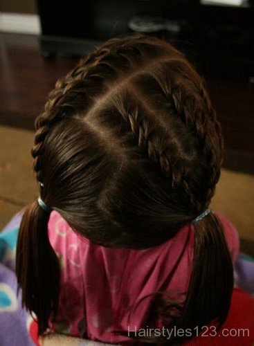 Braids & Ponytail Hairstyle