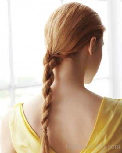 Brown Long Braid Hairstyle