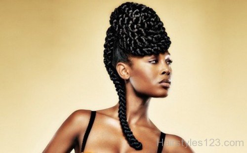 Micro Braids Black Hairstyle