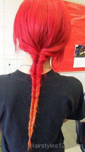 Fishtail Braid Hairstyle