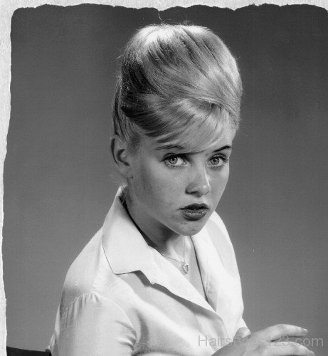 Fabulous 1960s Updos Hairstyle