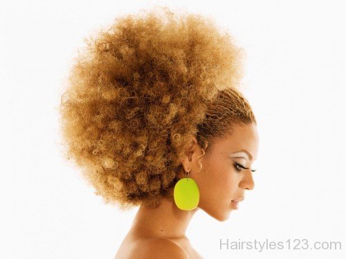 Afro Frizzy Hairstyle