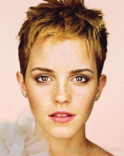 Lovable Short Pixie Hairstyle