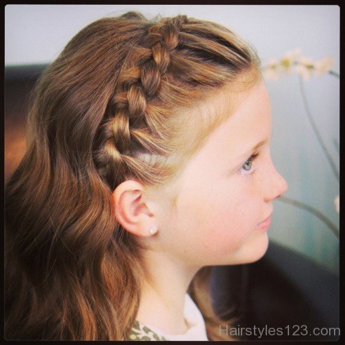 Nice Braided Hairstyle