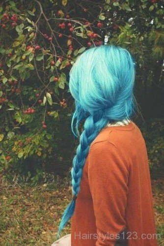 Blue Braided Hairstyle