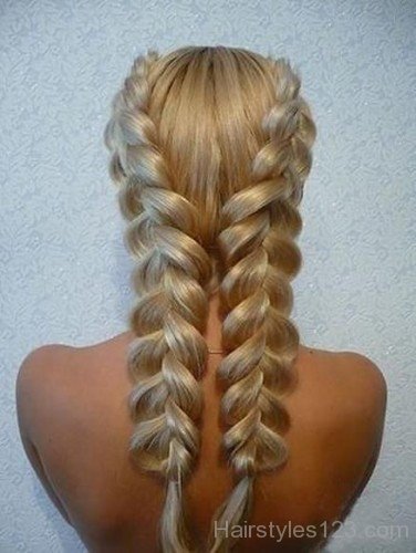 French Braided Hairstyle